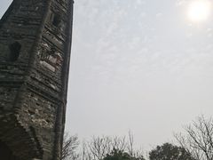 -上海佘山国家森林公园天马山园