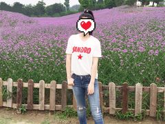 -秀丽东方