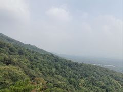 -紫金山索道-售票处