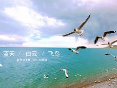 -青海湖国家重点风景名胜区