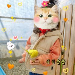 -萌宠亲子动物乐园(槐房万达店)