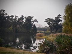 -两河城市森林公园