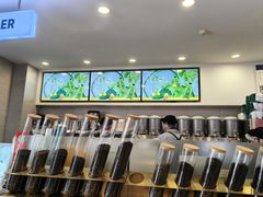 -雾与山茶(大禹城店)