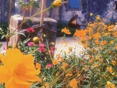 -东钱湖旅游度假区