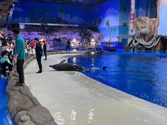 -华夏文旅海洋公园