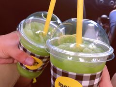 -莓园冰淇淋店