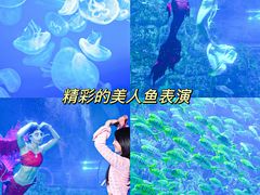 -威海华夏城景区