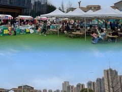 -成都泰迪熊博物馆