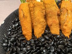 -丁老爷子苏香圆