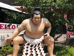 -大起水产回转寿司(道顿堀店)