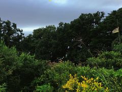 -三鹰之森吉卜力美术馆