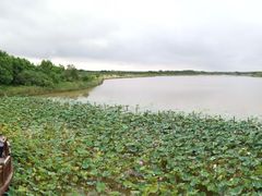 -东滩湿地公园观海楼餐厅