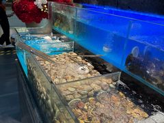 -苏格里岛自助烤肉海鲜火锅(成都金牛万达店)