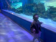 -常州海昌海洋探索馆