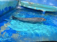 -太平洋海底世界