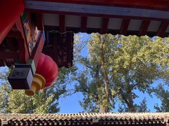 -中卫御苑福膳·养生局(圆明园店)