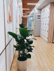 点击看大图 -小阿福儿童摄影(华中智谷店)