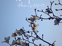-南京晨光1865创意产业园