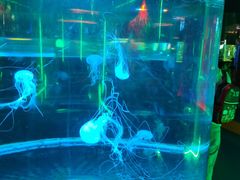 -无锡动物园·太湖欢乐园