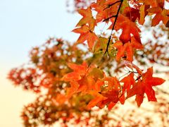 -中家鑫园温泉酒店鑫悦汤泉