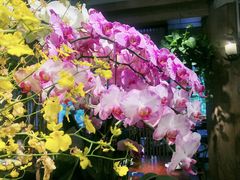 -春暖花开(西溪店)