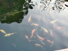 -千滋百味·醉江澜花园餐厅(街道口店)