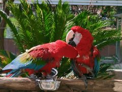 -哈尔滨北方森林动物园