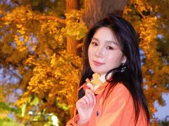 -三里屯东五街银杏大道