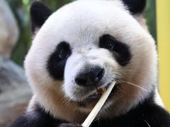 -广州长隆野生动物世界