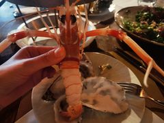 -斯普汇生蚝牛排馆(中骏世界城店)