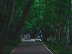 -紫金山山顶公园