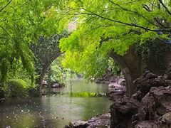 -柳浪闻莺公园