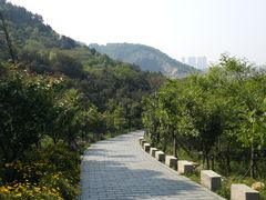 景点-峙山公园