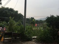 -丰依竹食·老牌竹筒饭