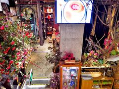 -范设计花园餐酒咖·中西餐·咖啡厅·酒馆