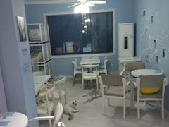 大堂-喵的天空名猫咖啡馆·撸猫·猫舍·用品