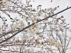 -堤角公园
