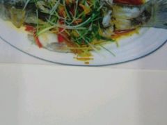 清蒸鲈鱼-广东潮汕酒家(锋记中恒分店)