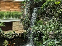 -白天鹅宾馆-宏图府餐厅
