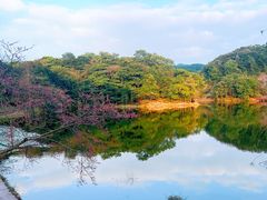 -广州市石门国家森林公园