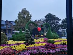 -泗洪洪泽湖湿地景区