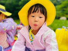 -杨梅红艺术教育(北京金源购物中心校区)