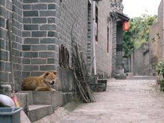 -扬美古镇景区