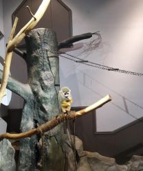 点击看大图 -未来动物城动物主题公园(大悦城店)