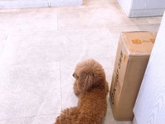 -纳吉亚猫专科动物医院·北北分院