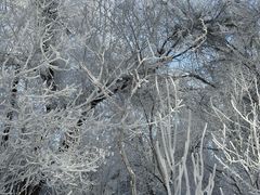 -水磨沟公园