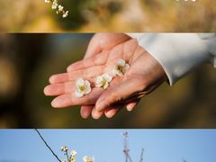 -广州市流溪河国家森林公园