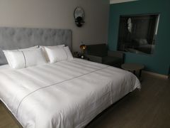 -白玉兰酒店(上海田子坊马当路地铁站店)