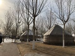 -九十九顶毡房(阜石路店)