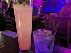 -TZ House音乐现场(茅台店)